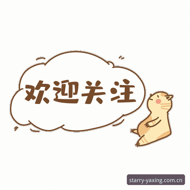 全新版面呈献CN站哪个好 一位长期关注转会动态的用户,聊聊米雷蒂转会传闻背后的事